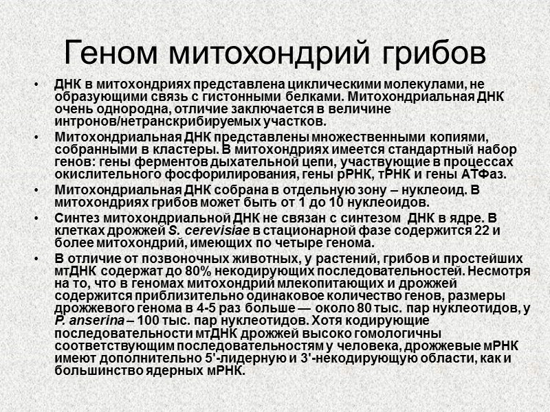 Геном митохондрий грибов ДНК в митохондриях представлена циклическими молекулами, не образующими связь с гистонными